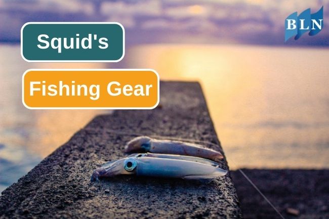 Prepare These 10 Fishing Gear To Catch Squid